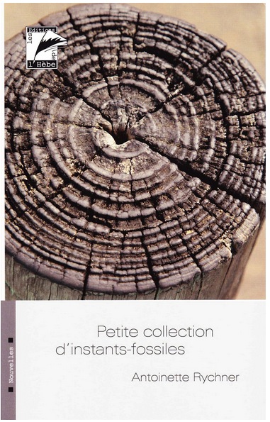   - Petite collection d'instants-fossiles
